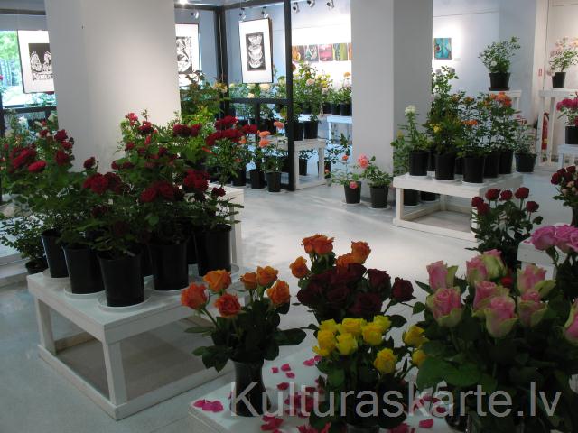 Rožu izstāde Rozes pilsētā (sadarbībā ar SIA "Rose service" un SIA "Latgales ziedi") 10.06.-12.06.11., A.Bondarenko foto